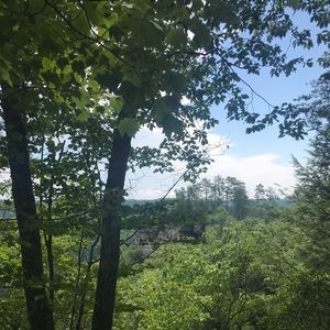 Meet your Posher, Audrey